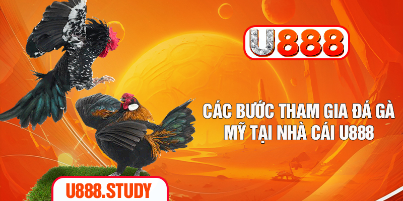 Các bước tham gia đá gà Mỹ tại nhà cái U888