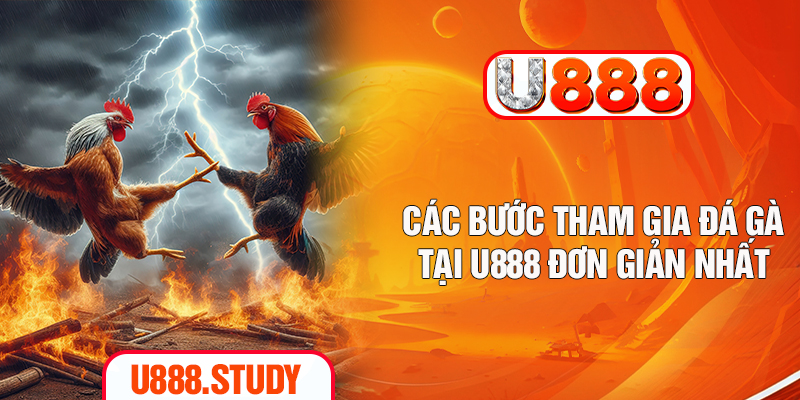 Các bước tham gia đá gà tại U888 đơn giản nhất