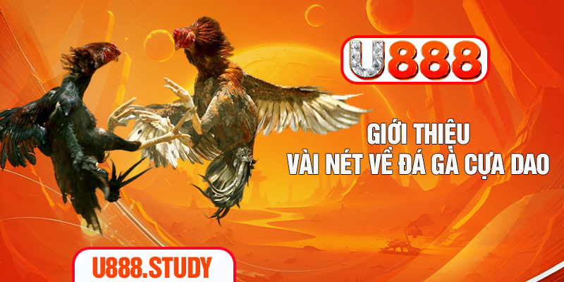 Giới thiệu vài nét về đá gà cựa dao