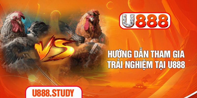 Hướng dẫn tham gia trại nhiệm tại u888