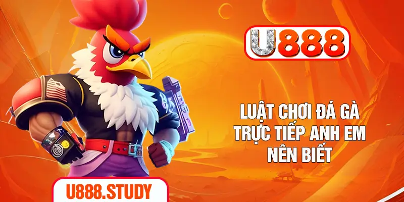 Luật chơi đá gà trực tiếp anh em nên biết