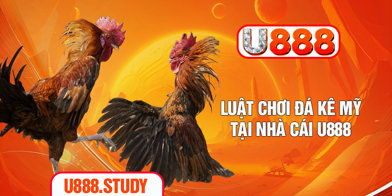 Luật chơi đá kê Mỹ tại nhà cái U888