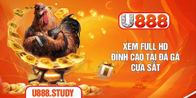 Xem full HD đỉnh cao tại đá gà cựa sắt